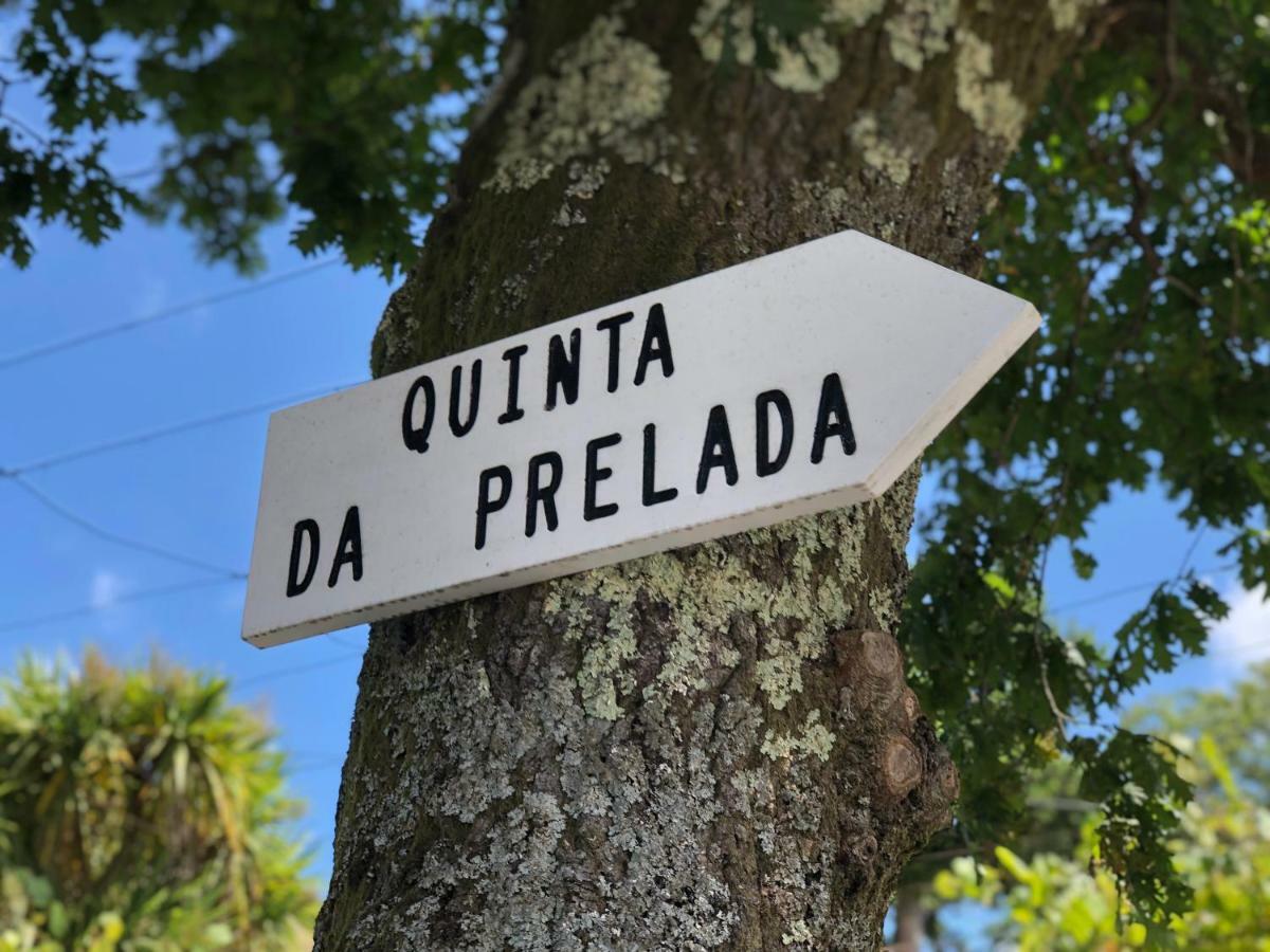 Casa Da Quinta Da Prelada Simao Partie Basse Villa Celorico De Basto Exterior foto